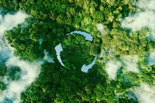Vista dall'alto di una foresta verde su cui si forma il simbolo del riciclo circolare