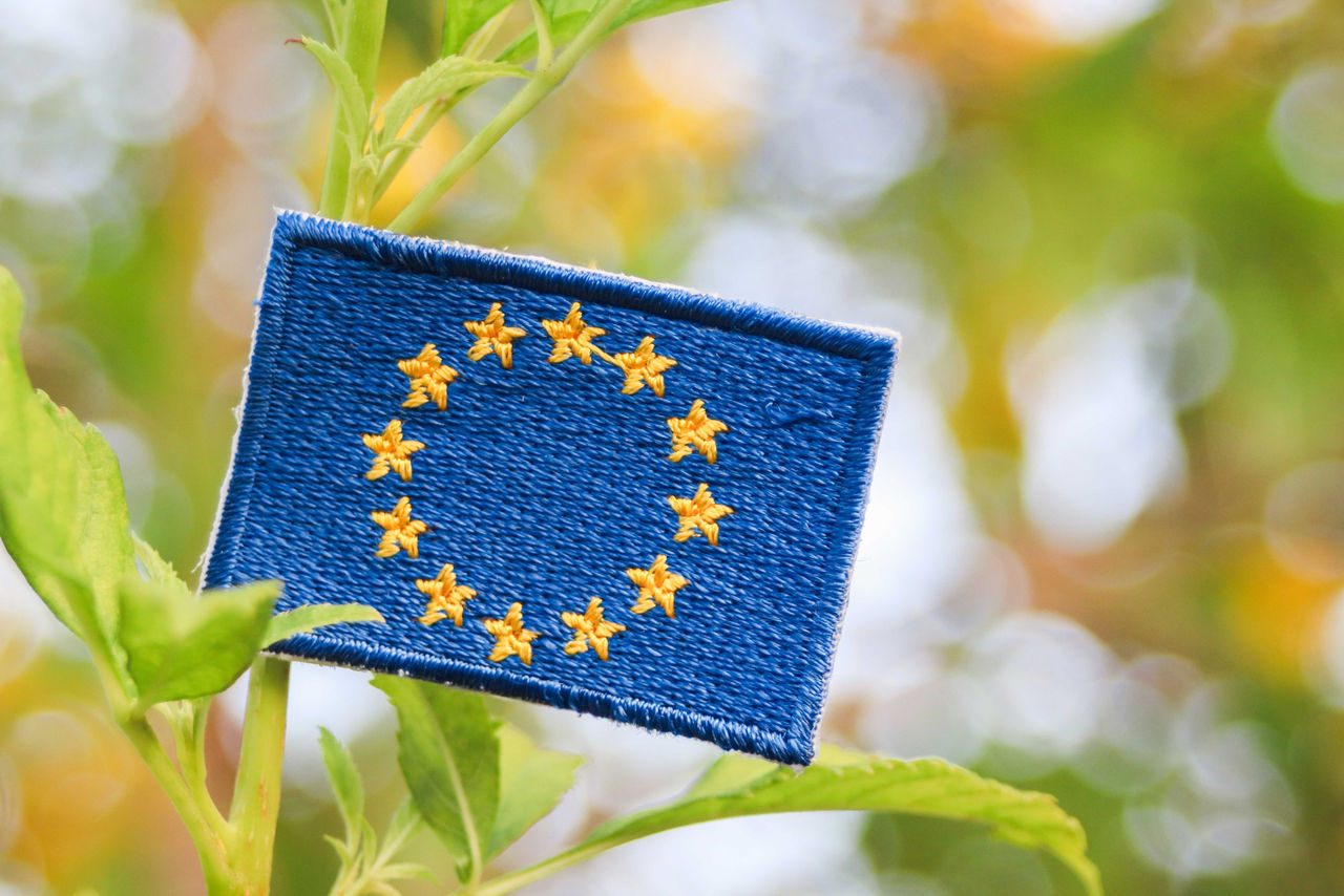 Patch ricamata della bandiera dell'Unione europea appoggiata su giovani foglie verdi con luce solare soffusa e sfondo bokeh naturale. 