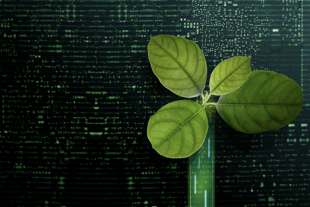 Una piantina verde cresce da un cilindro luminoso davanti a uno sfondo digitale, rappresentando la connessione tra tecnologia e sostenibilità.