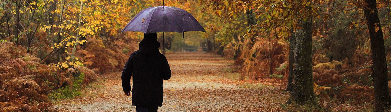 Uomo con ombrello in un parco di alberi con foglie autunnali