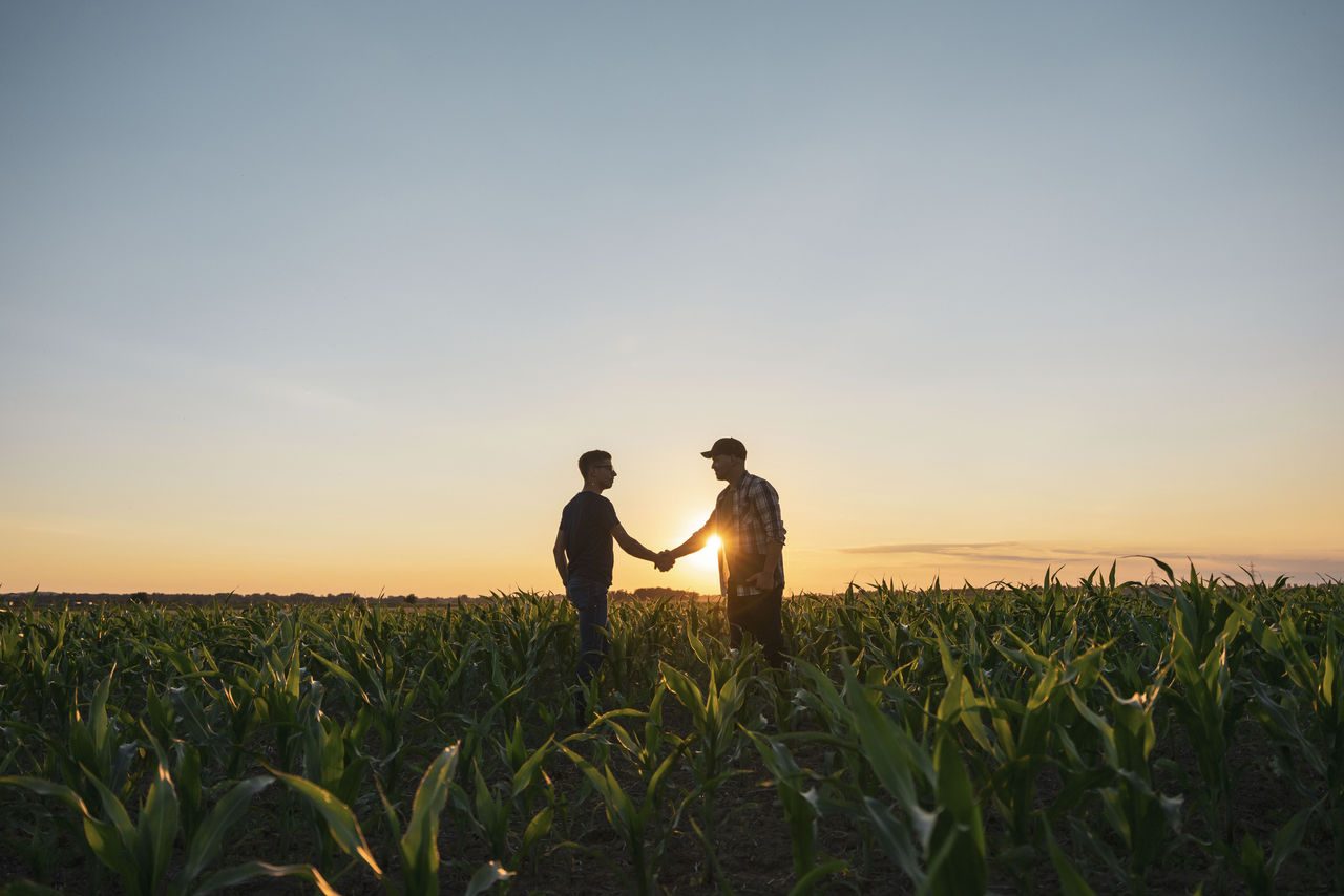 Due persone si stringono la mano in un campo coltivato al tramonto, simbolo di collaborazione nel settore agricolo.