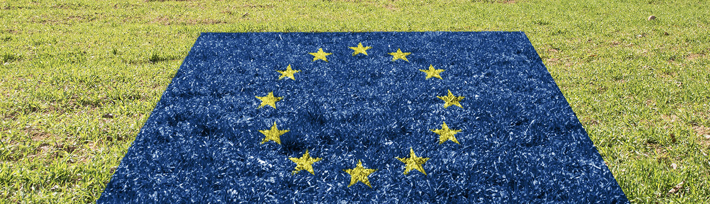 Bandiera dell’Unione Europea dipinta sull’erba, simbolo di impegno ambientale e politiche verdi europee.