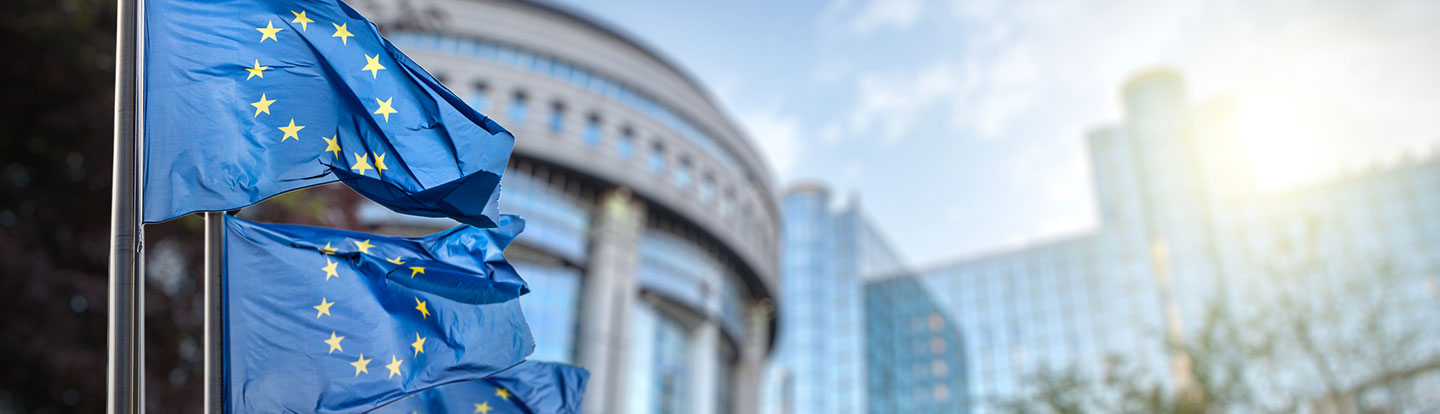 Bandiere dell’Unione Europea che sventolano davanti al Parlamento Europeo a Bruxelles, in una giornata di sole.
