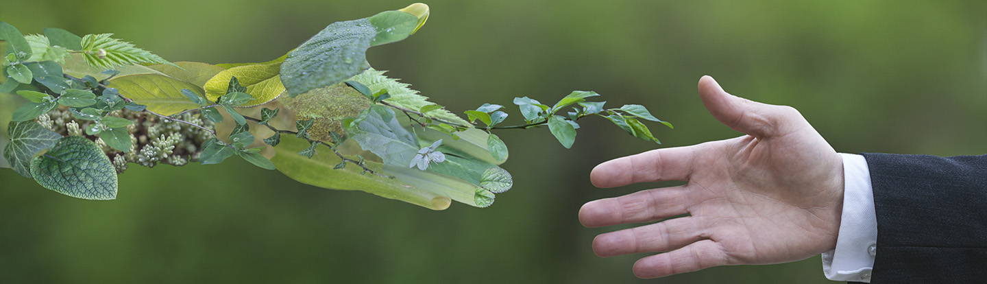 stretta di mano uomo e natura