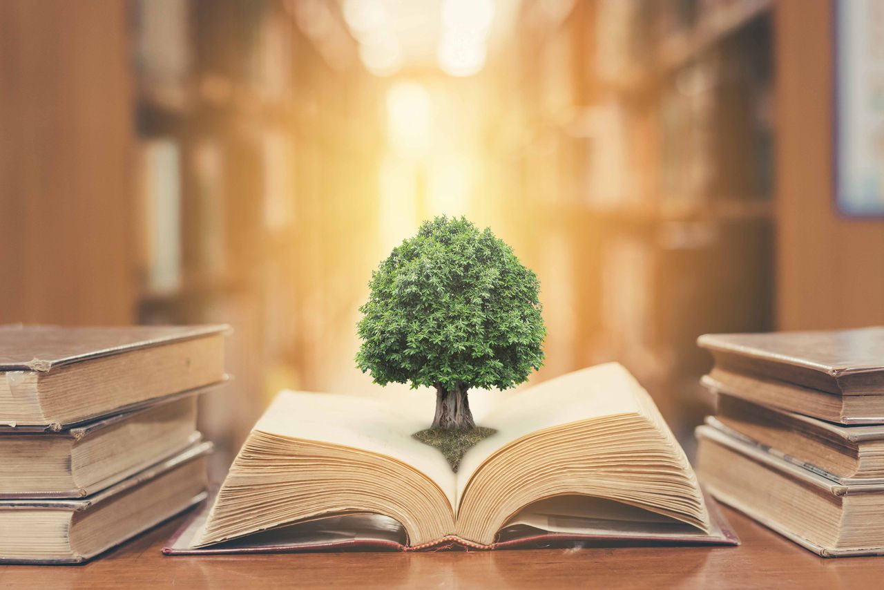 letture ecologiche dedicate all'ambiente