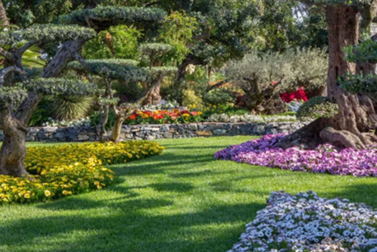 Scorcio di un giardino botanico curato con aiuole colorate, fiori stagionali e alberi ornamentali dalle forme scultoree.