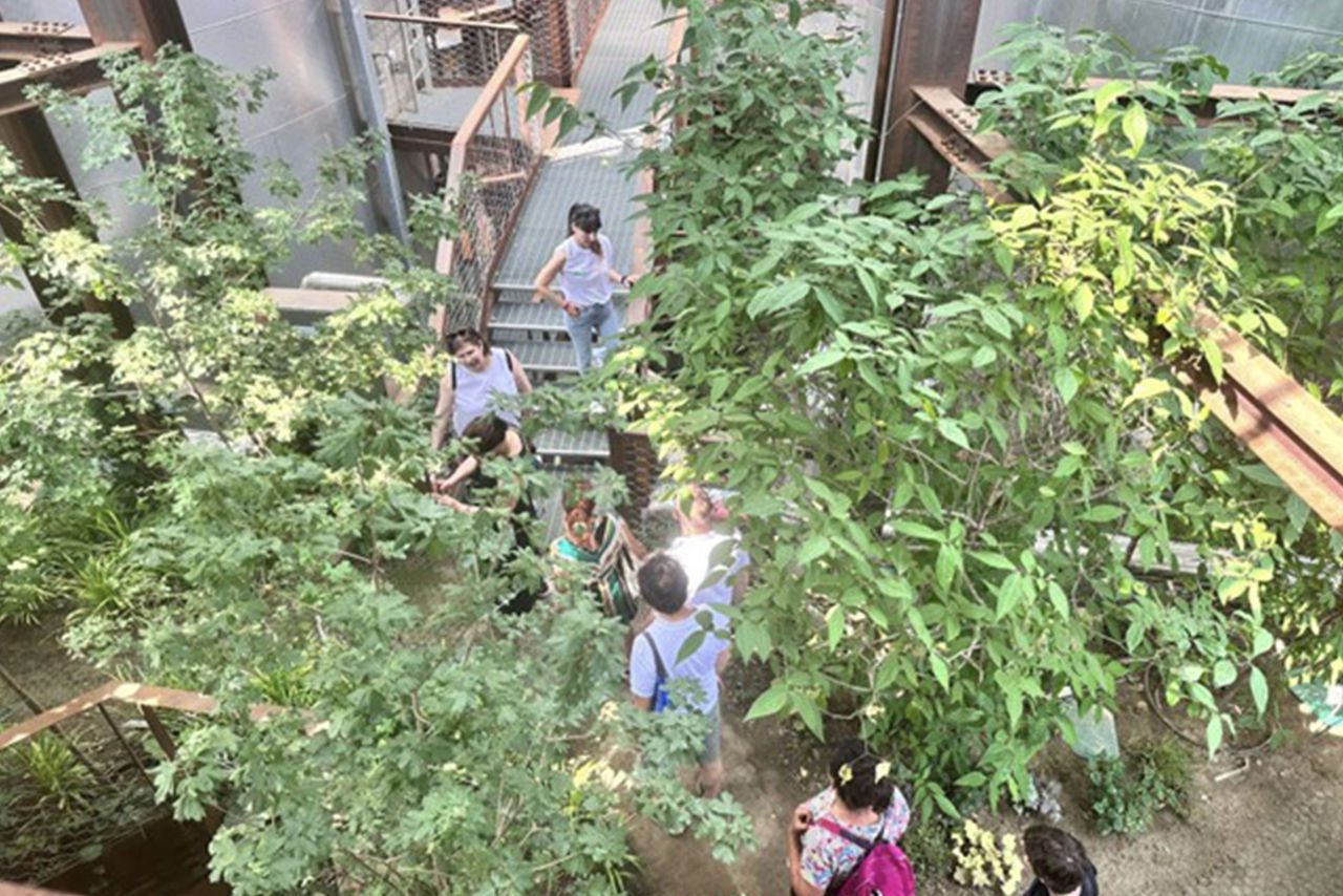 Vista dall’alto di un gruppo di visitatori all’interno di un impianto industriale riconvertito, circondati da vegetazione rigogliosa e passerelle metalliche sospese.