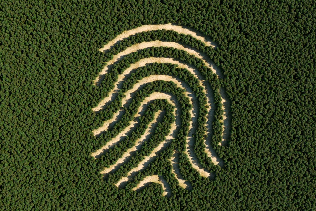 Veduta aerea di una foresta in cui gli alberi sono disposti in modo da formare l'immagine di un'impronta digitale, a simboleggiare l'impatto ambientale dell’uomo sulla natura.