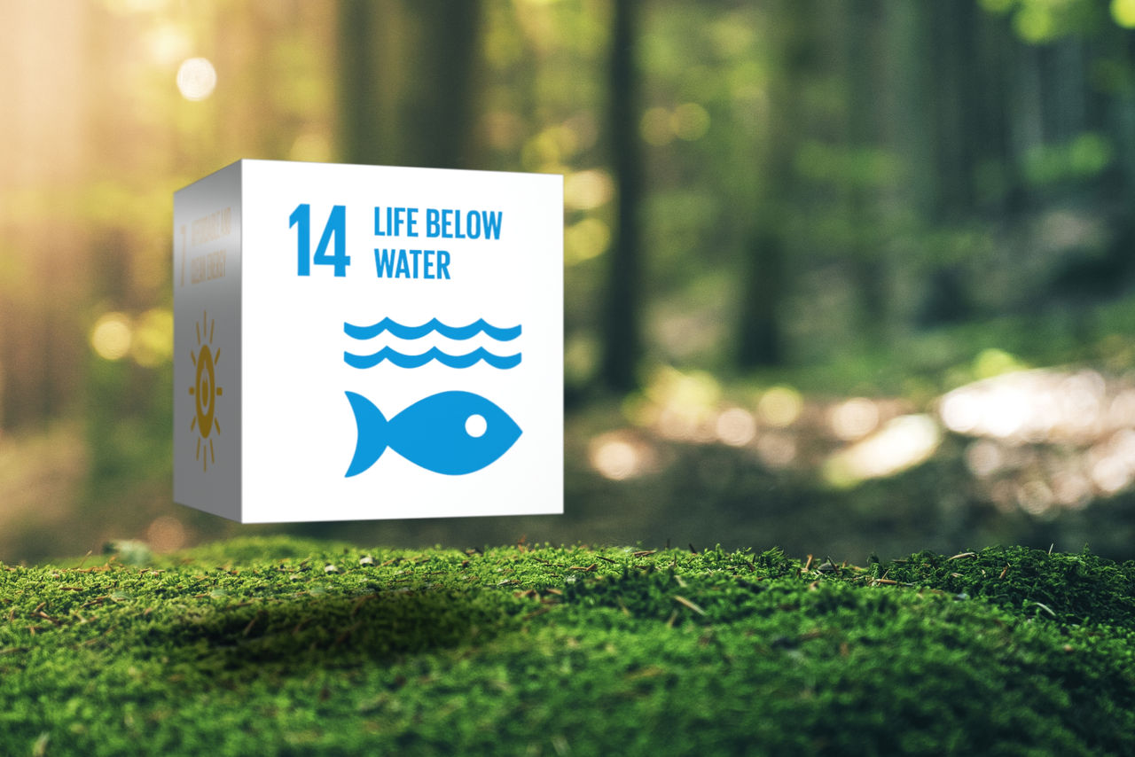 Agenda 2030 - Goal 14 La vita sott'acqua
