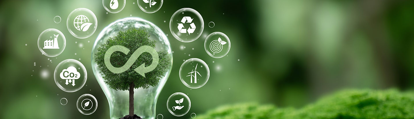 Rappresentazione grafica dell’economia circolare con un albero all'interno di una lampadina, circondato da icone legate alla sostenibilità e alle energie rinnovabili.