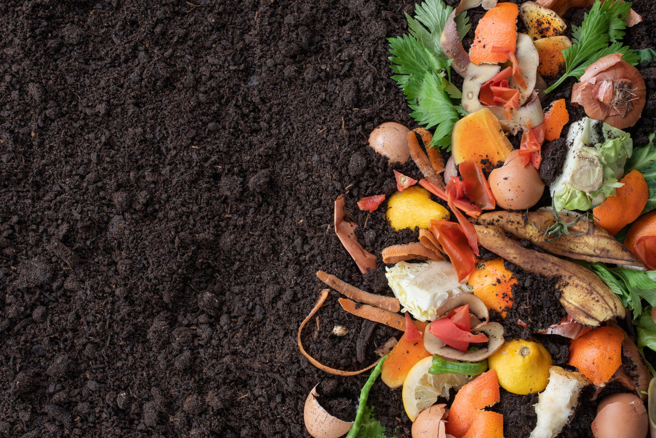 compost prodotto da rifiuti organici