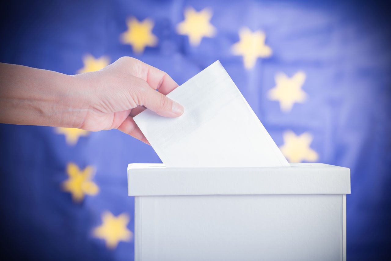 elezioni europee