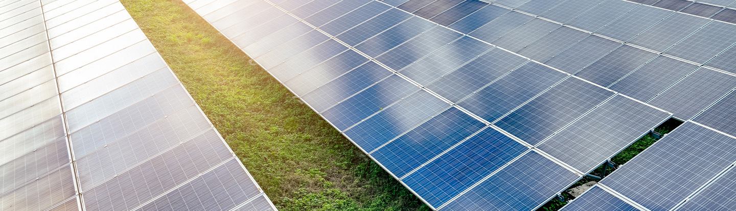 pannelli fotovoltaici e erba verde