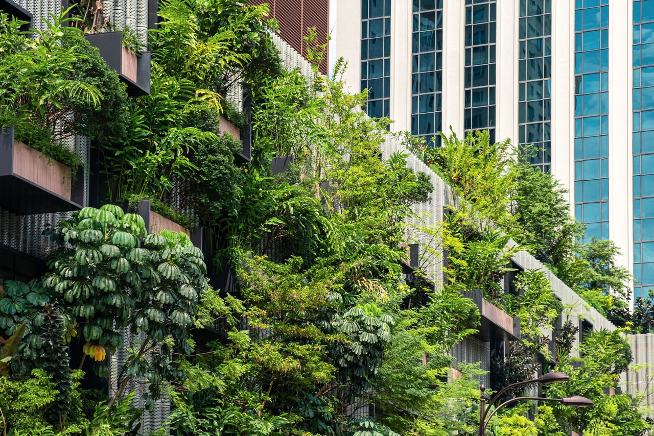 Facciata dell'edificio con piante verdi che crescono sulla parete.