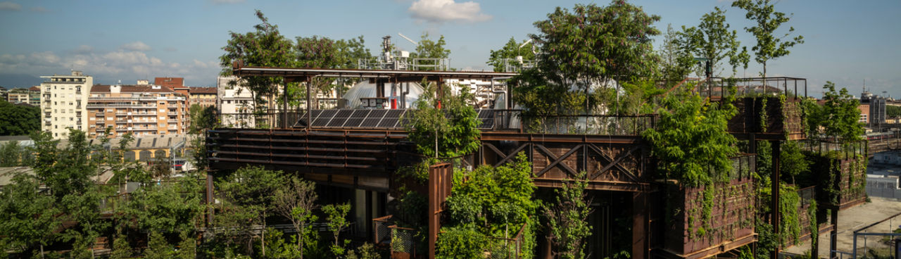 heat garden
