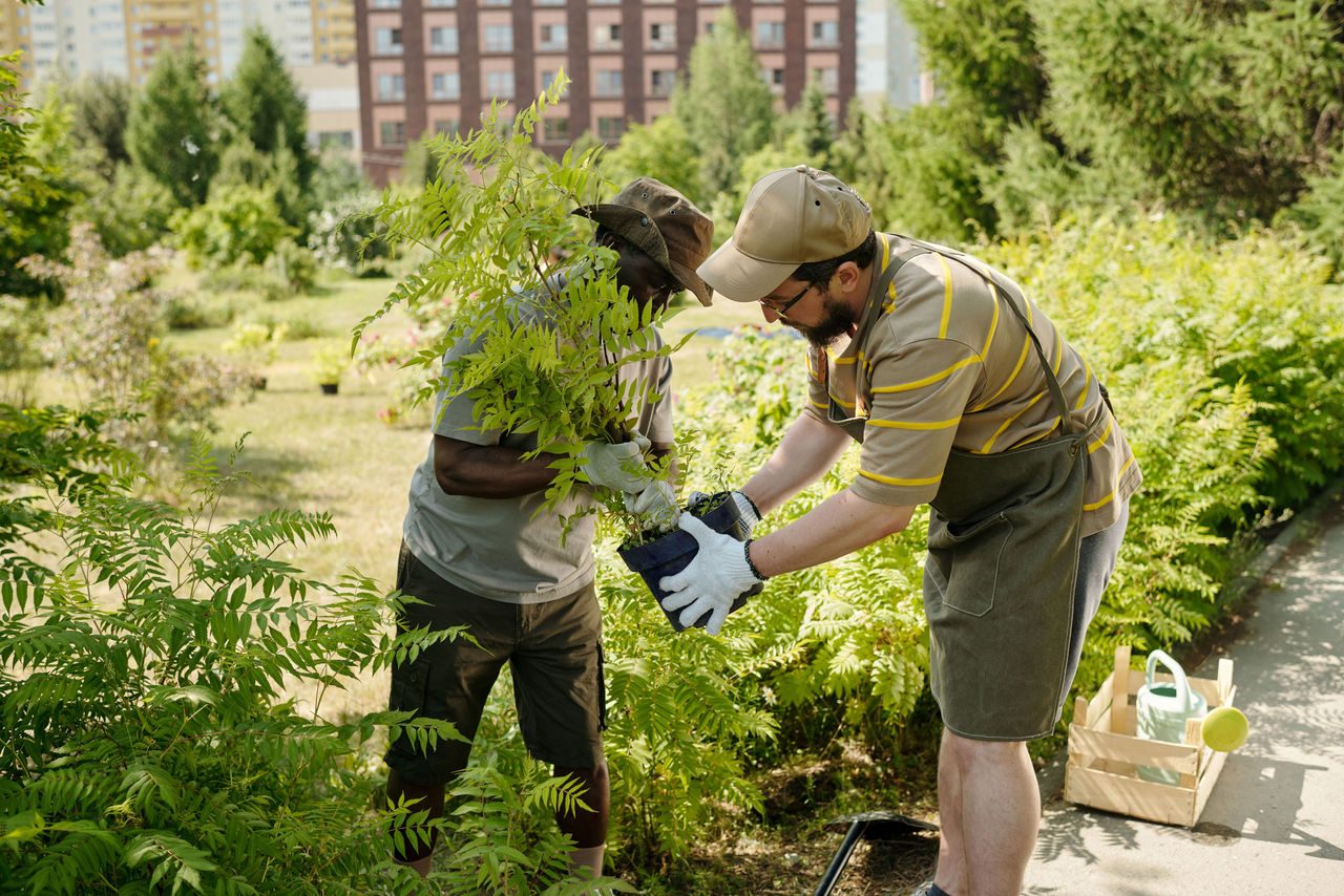 Due ragazzi immersi nel verde che eseguono lavoro di giardinaggio