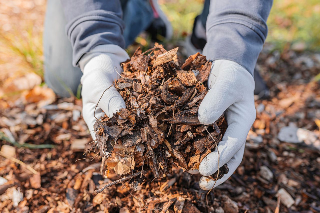 Una persona con guanti grigi tiene un mazzetto di corteccia e foglie nelle mani, simboleggiando sforzi di riciclaggio o compostaggio, con uno sfondo naturale.