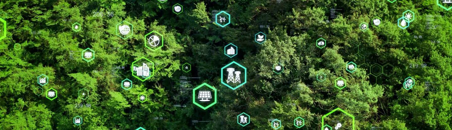 serie di icone sostenibilità su foto di un bosco visto dall'alto