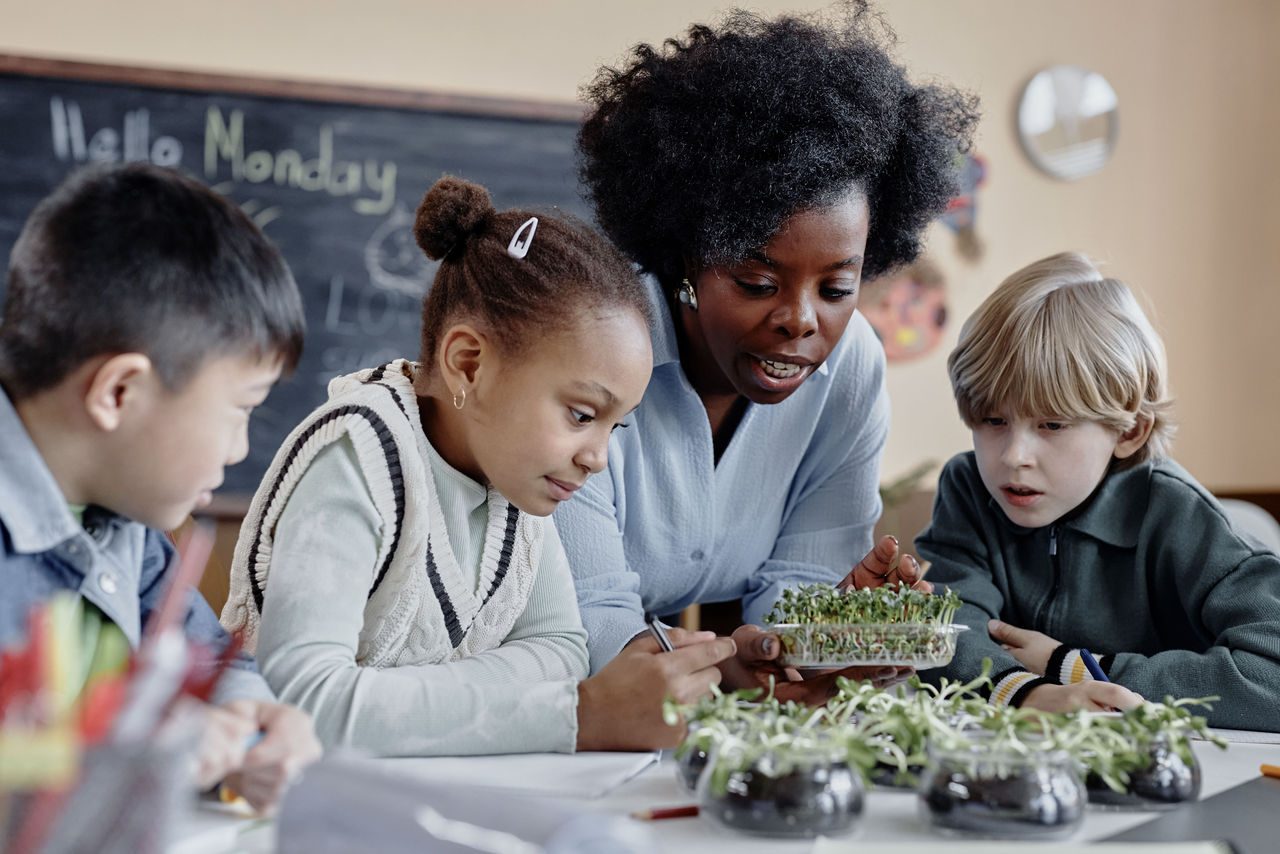 maestra afroamericana con tre bambini intenti ad imparare e ad osservare delle piantine verdi in piccoli vasi di vetro