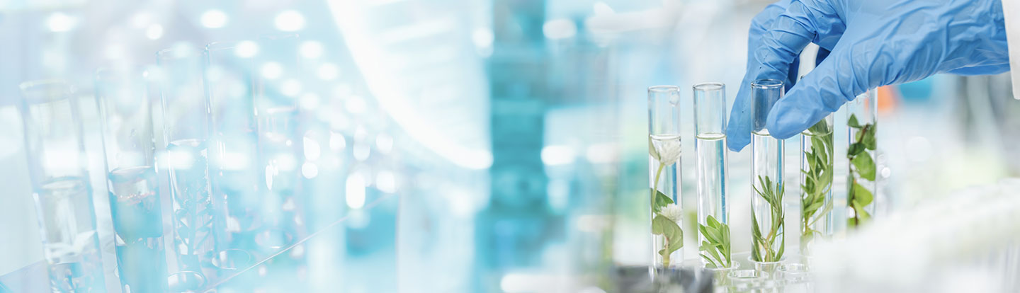 laboratorio sfocato di sfondo con focus su quattro provette contenenti ramoscelli verdi e una manco con guanto blu
