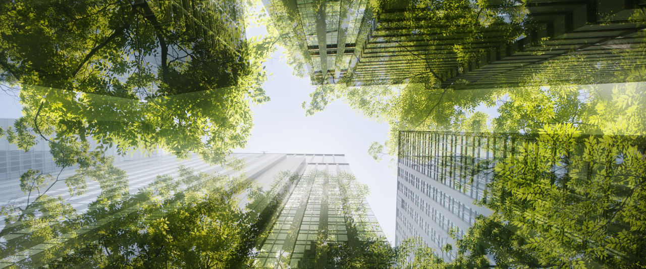 Insieme di edifici e alberi verdi visti dal basso