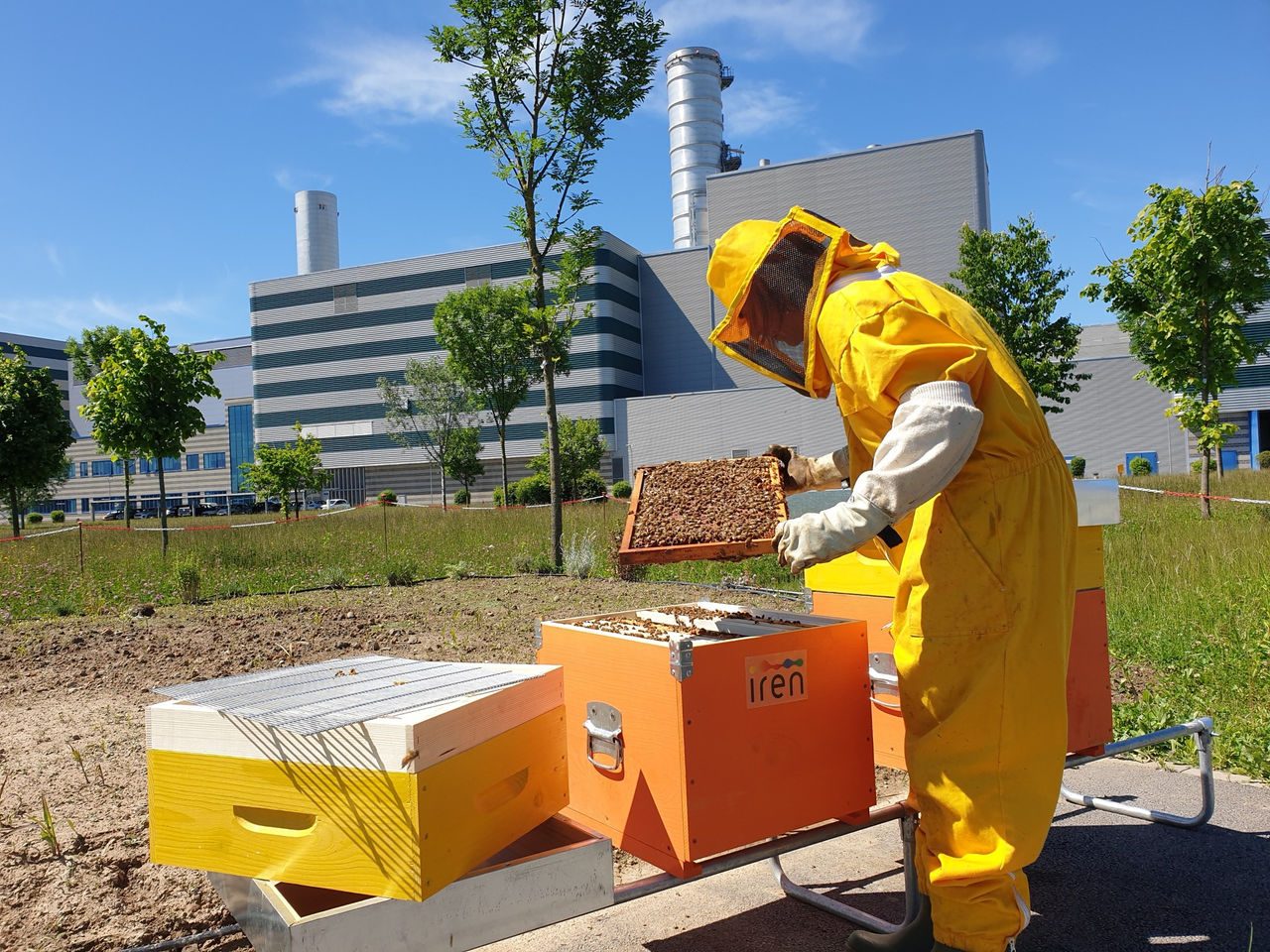 Biomonitoraggio attraverso le api insieme a Apicoltura Urbana