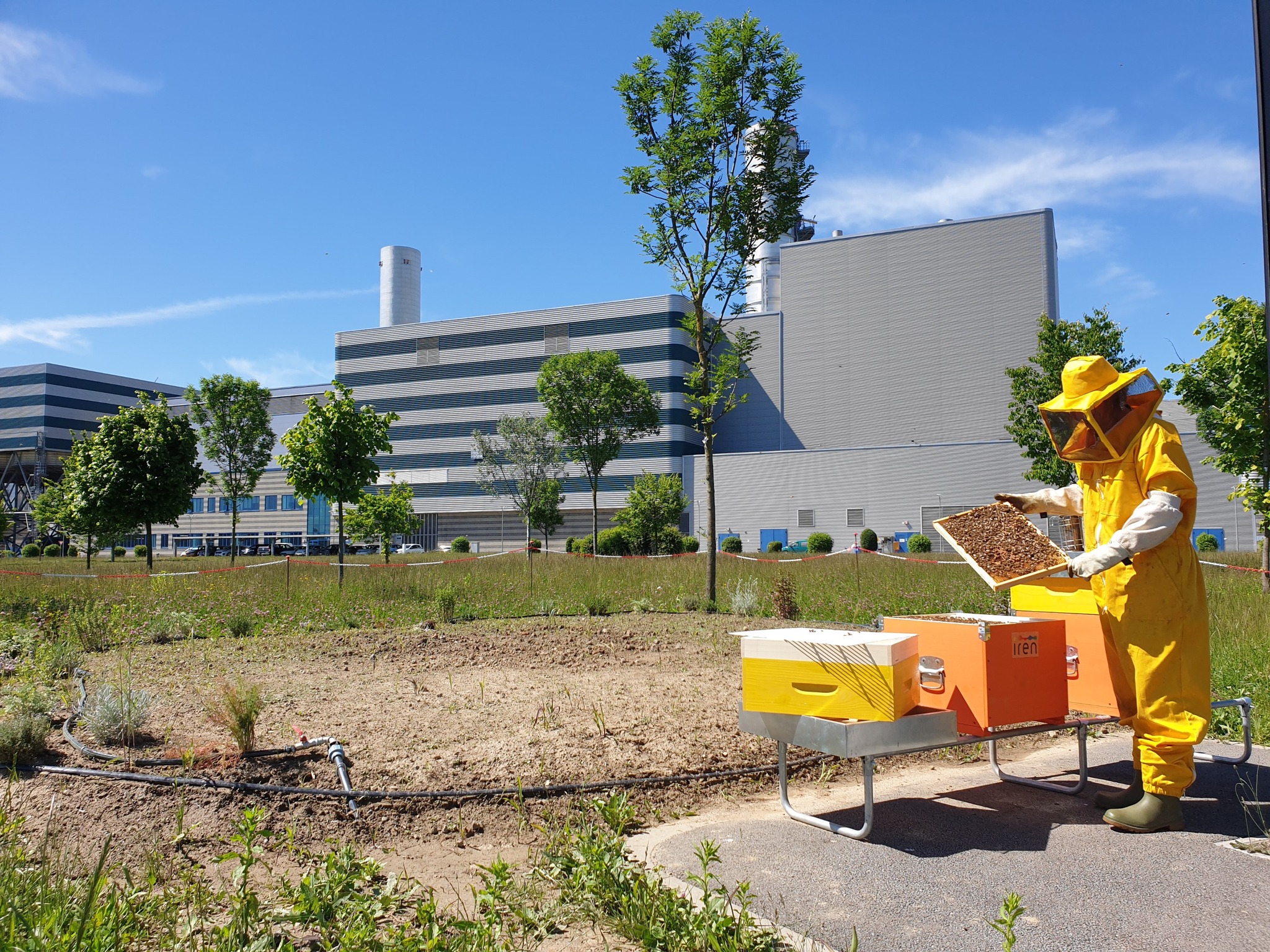biomonitoraggio api a Torino Nord