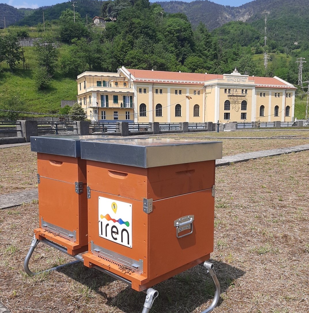 monitoraggio api a Isoverde