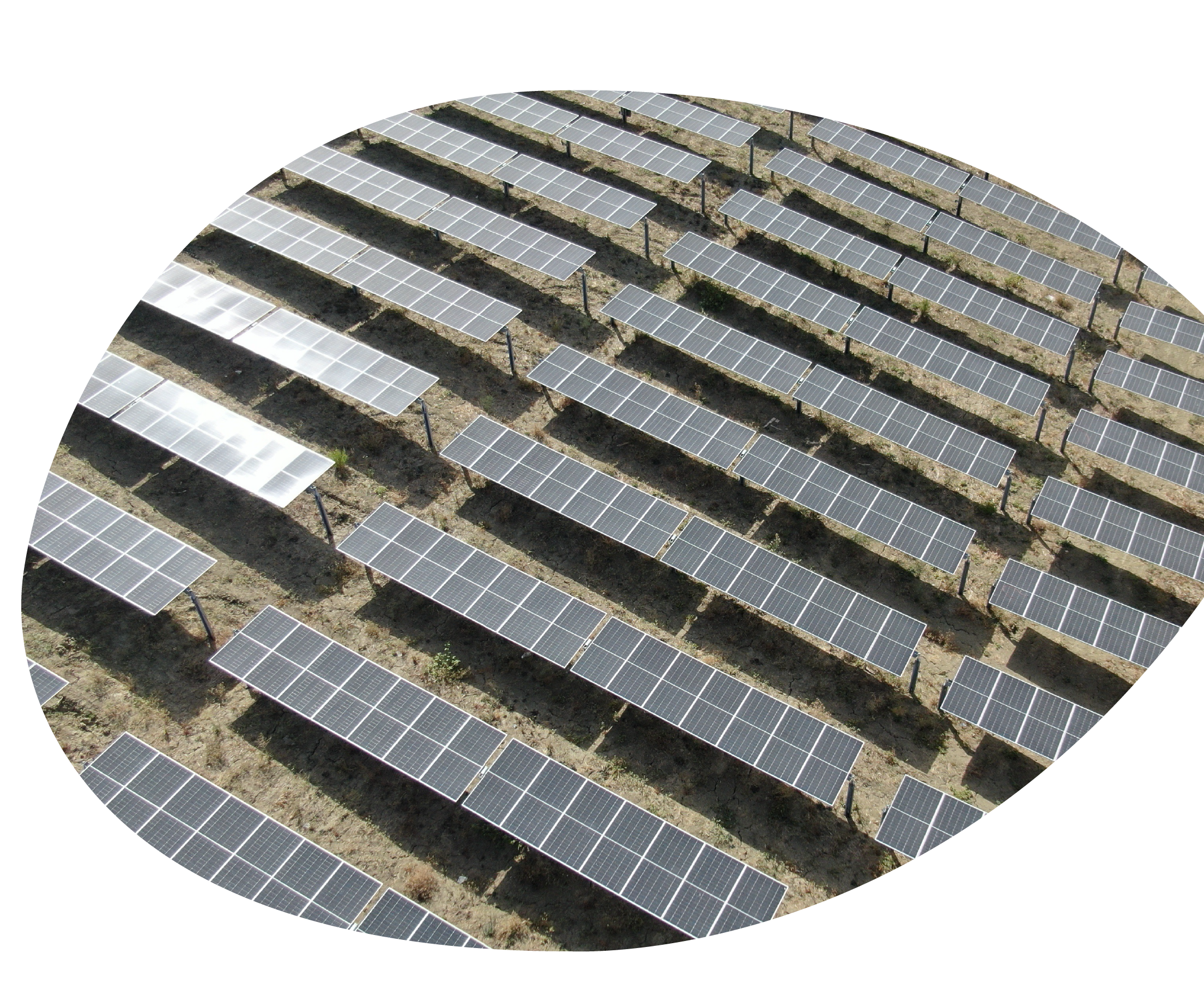 pannelli solari dell'impianto fotovoltaico di Ferrandina